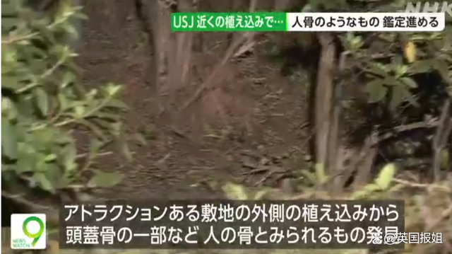 日本知名景区惊现多块人类尸骨!已死2年…