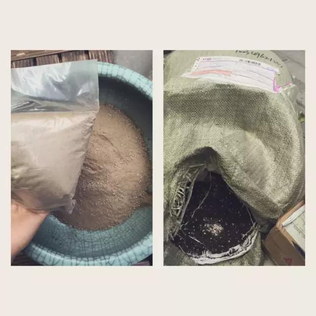 惊艳！美女仅花3500块，打造的出租屋竟媲美咖啡厅！