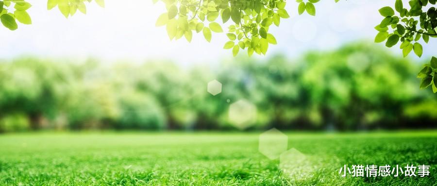 购房置业|“要么全款买房，要么分手”是为了彼此，还是另有所图！