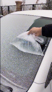 李晨|李晨与美女富婆吃大餐！头靠头合影显亲密，还曾在酒吧嗨玩到凌晨