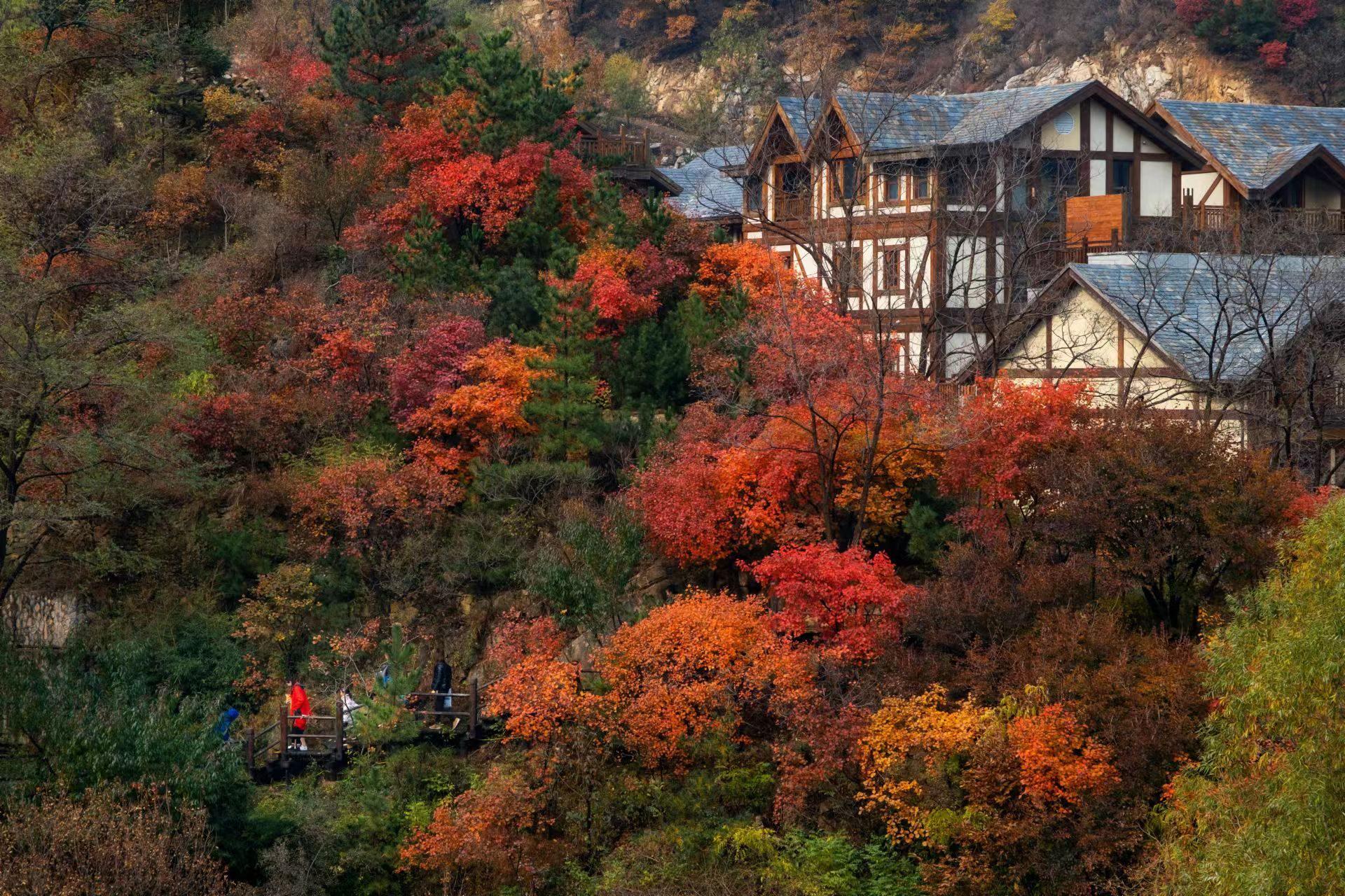颜值爆表 | 被上帝宠幸的秋日秘境