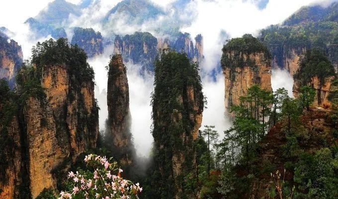 张家界|张家界森林公园旅游最全攻略