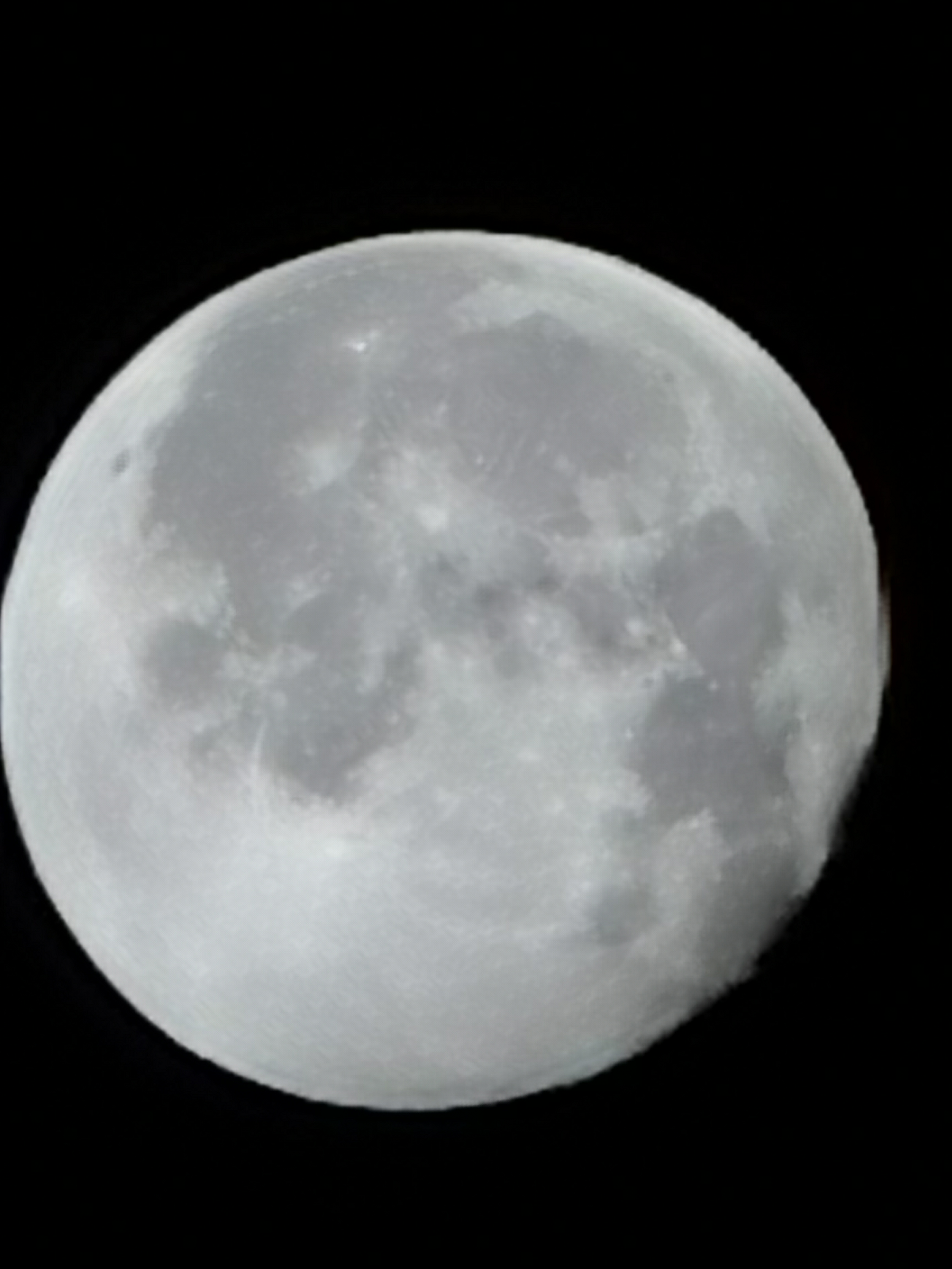 华为mate|支持华为！我是花粉，任凭别人评说