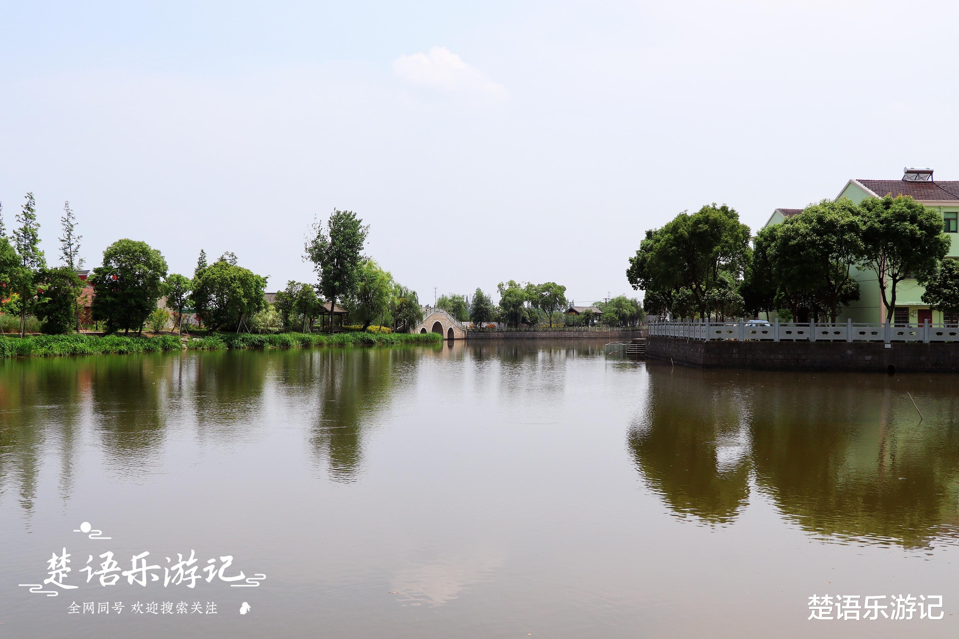 美丽|宁波城西最原滋原味的古村，水乡风情浓郁，两条河流成为美丽风景