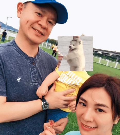 小三|即便是“情歌天后”，也玩不过“地表最强小三”