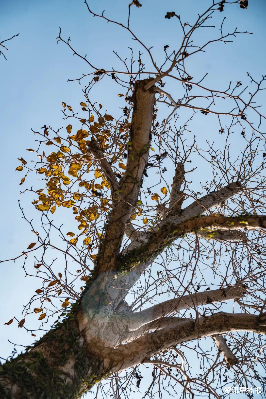 洞庭西山|叮咚!来自苏州太湖西山岛的初冬绝美壁纸来袭~