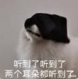 护肤 景区的鱼“猪里猪气”冲上热搜！ 网友慌了：原来游泳真不减肥…