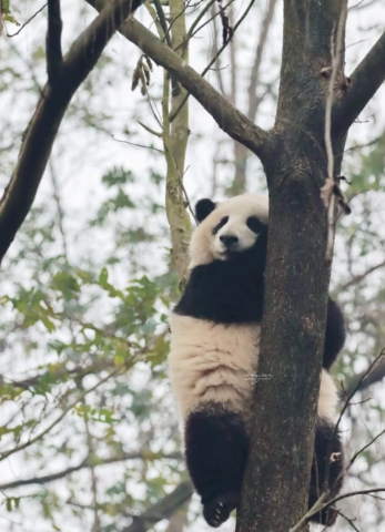 海岛|中国最适合穷游的3座城，没钱也可以任性耍！你去过吗？