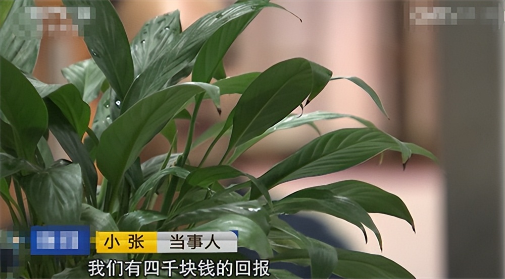 富婆|2016年深圳男子服务“富婆”2次，还倒贴3千元，背后真相让他崩溃