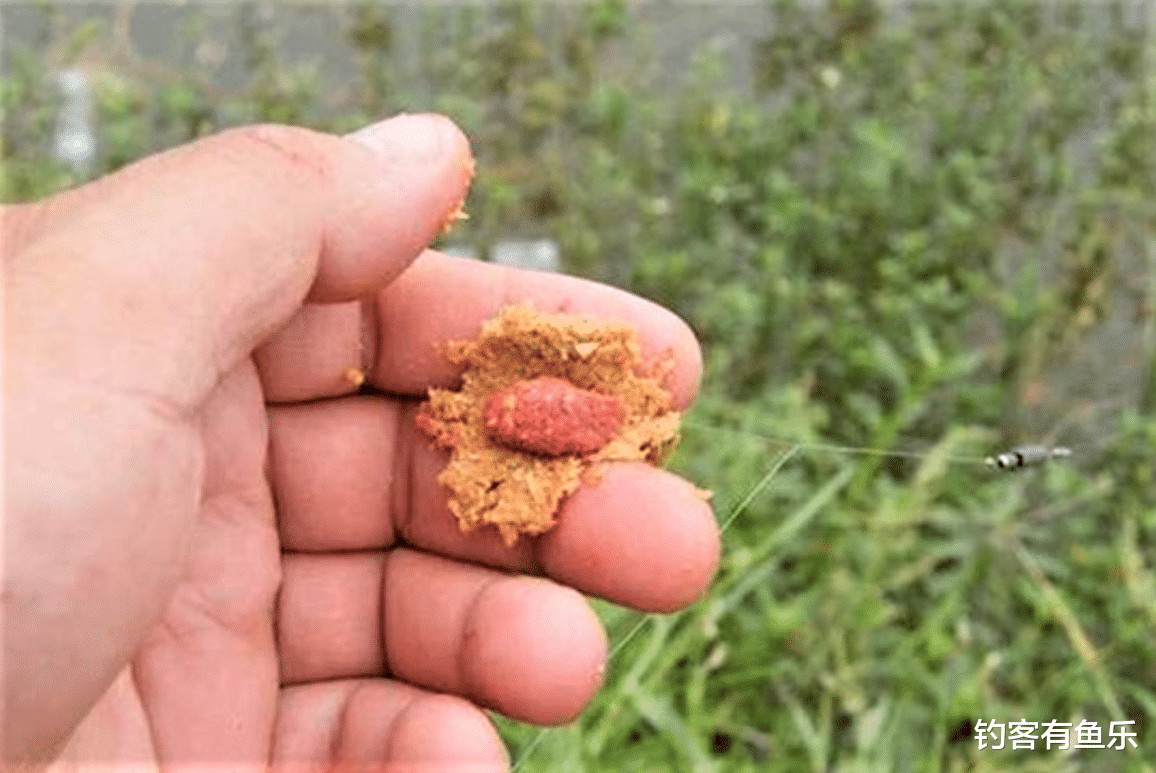 饵料|夏天钓不到目标鱼?试试包食钓法,不另外打窝,不担心小杂鱼闹钩