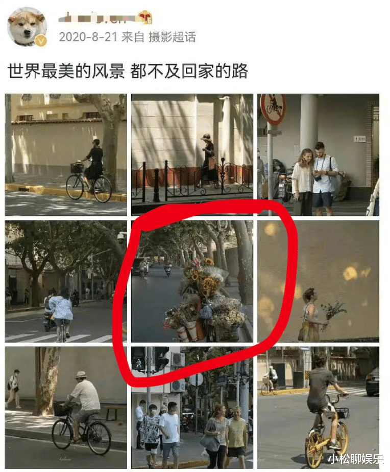张子枫|张子枫工作室晒出日常照片,被网友指出抄袭,抄袭有了新花样