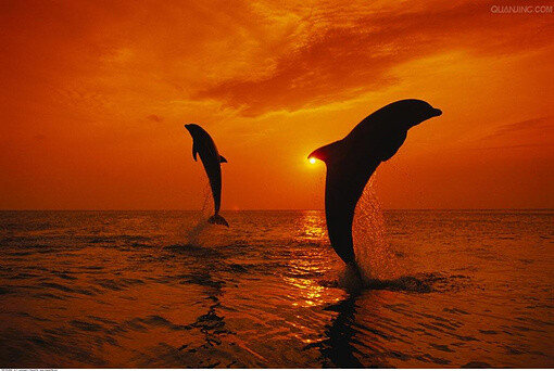 |人在职场，学会沉默