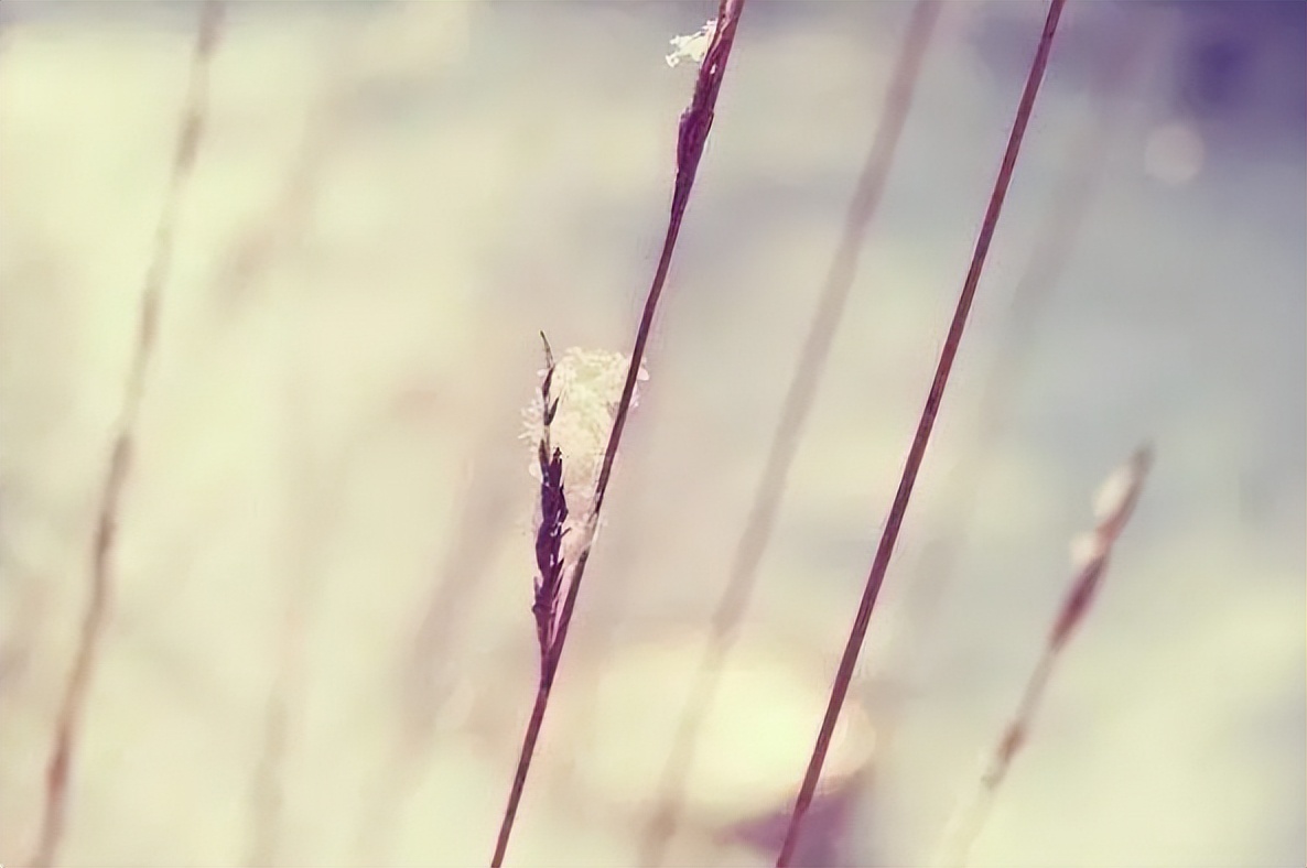 |人在单位,聪明人永远不会主动跟人聊这三个话题,会害了自己