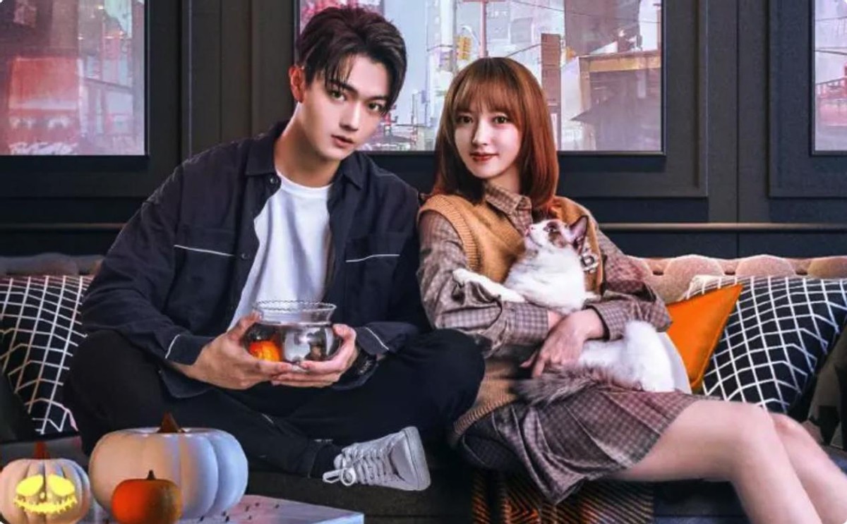 张翰|张翰王晓晨,谢谢你俩让观众知道,国产剧原来还可以低惨到2.3分