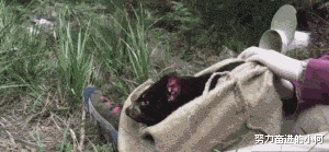 为啥KTV的卫生间里要放一个沙发,有啥用途啊?