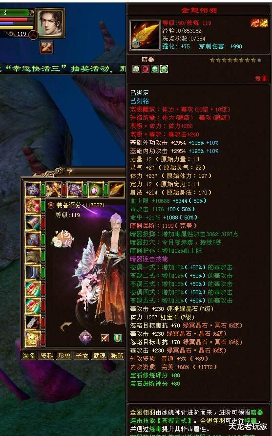 天龙八部|天龙八部：蝶战最新面板和装备曝光，自制全服第一九星鞋子