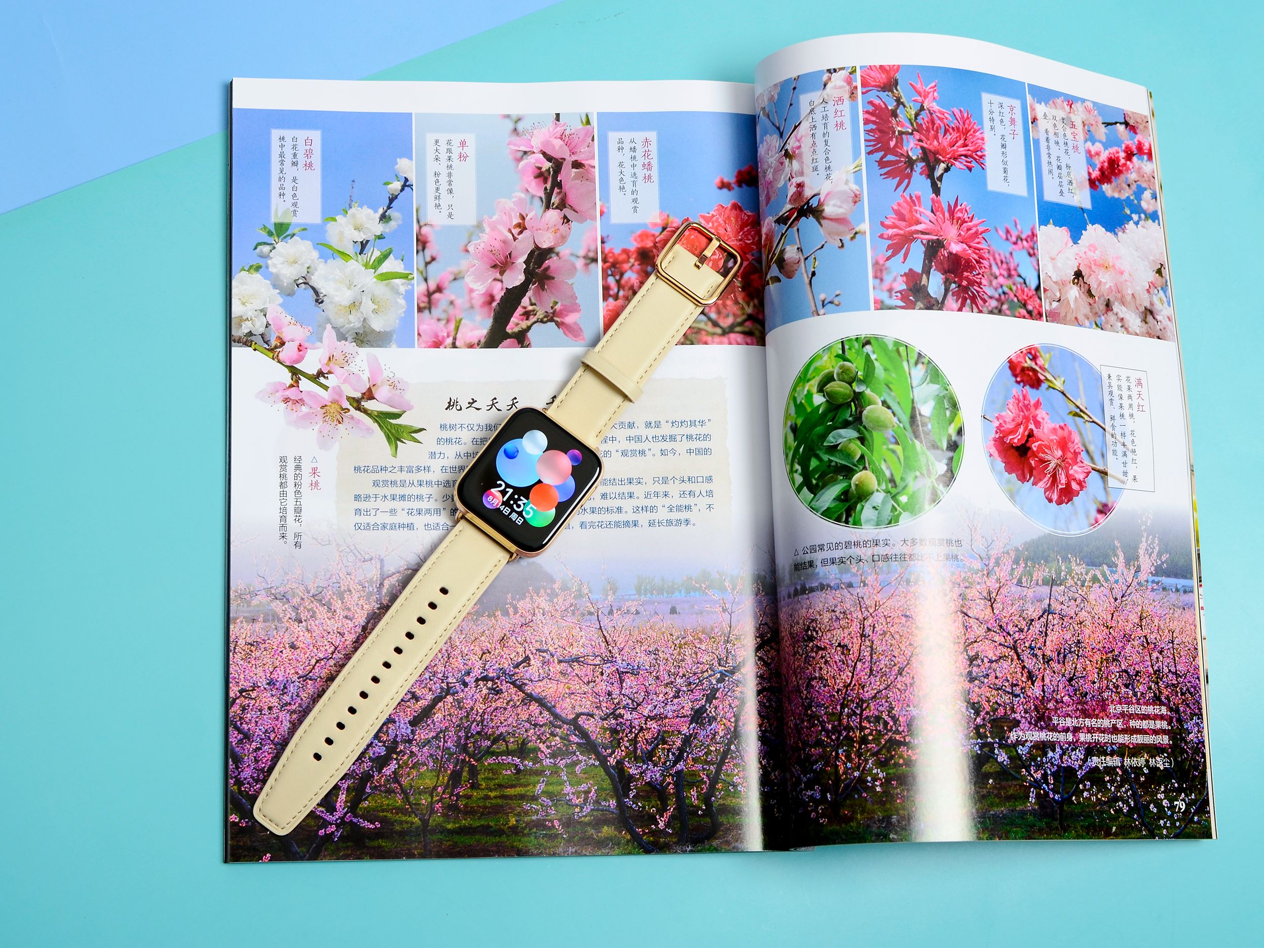 李宁|软硬件结合打造生活好伴侣——OPPO Watch 3智能手表体验