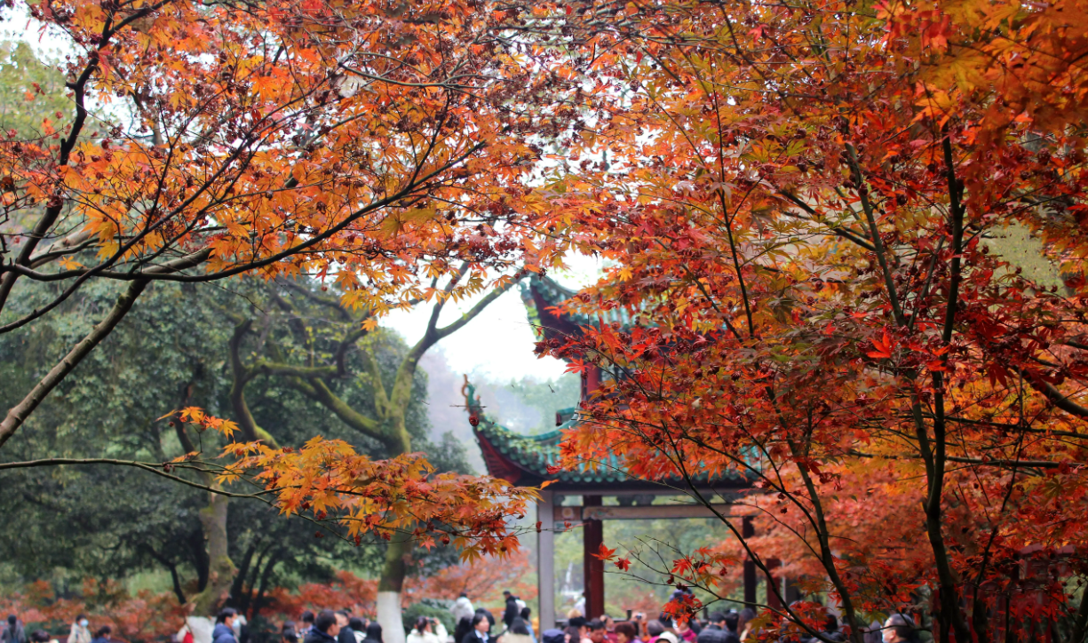 长沙|湖南长沙，很多美食，景点你知道几个？