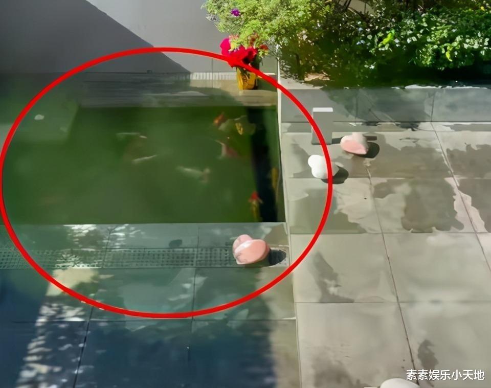 刘嘉玲|刘嘉玲与富豪姐妹聚餐，一盘白松露价值十几万，营养餐真奢华