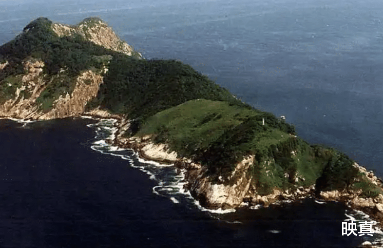 中国无名蛇岛,栖息2万多条毒蛇,政府每天送吃送喝却不对外开放
