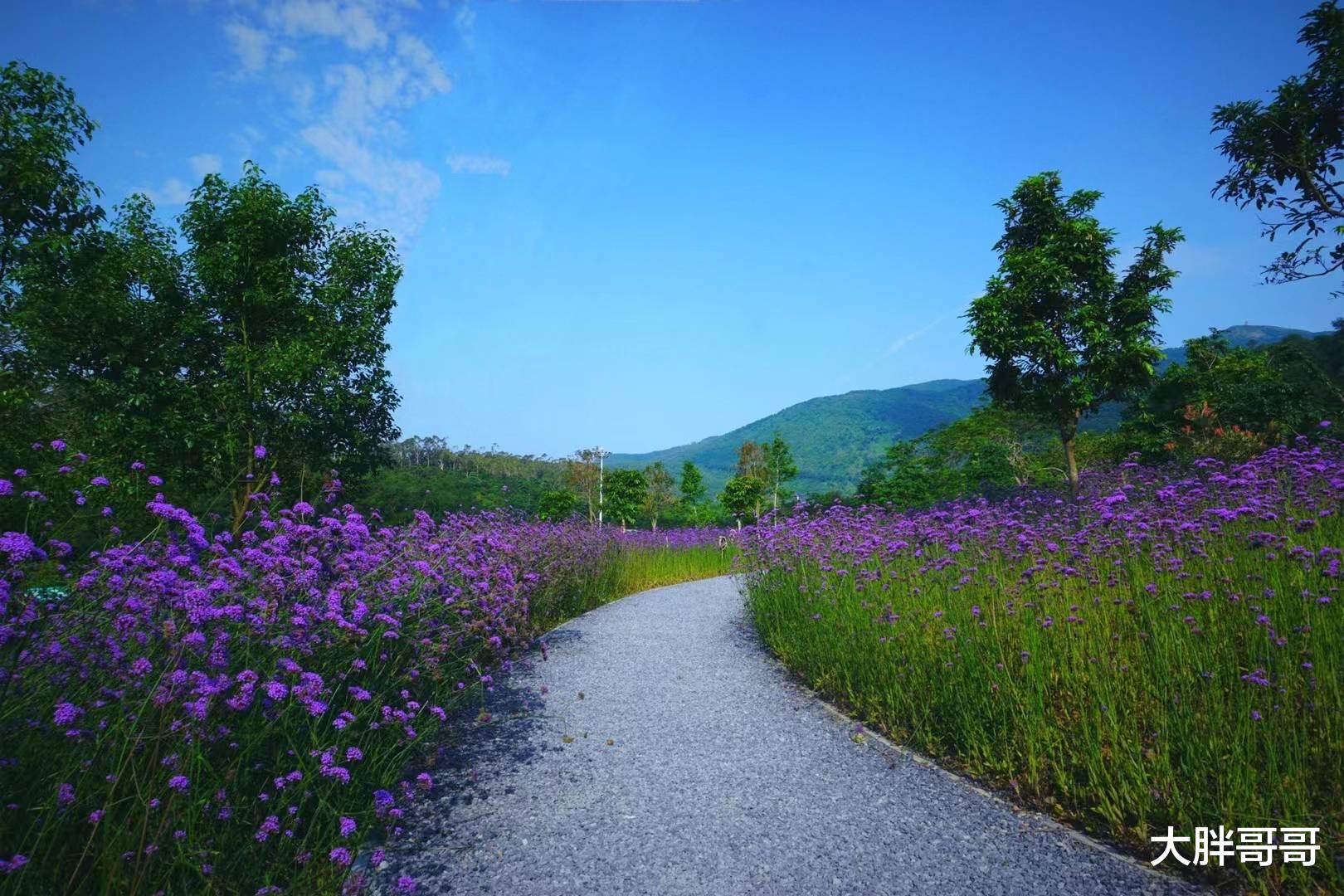 张朝阳|张朝阳建议年轻人不要过度努力:没有什么值得以命相拼