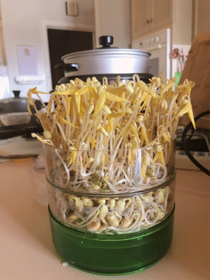 初衷,是为了提升生活品质,没想到后来却沦为鸡肋的9款家居