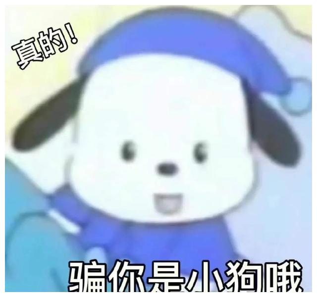 温婉 恶毒千金vs温婉白花，谁才是你心目中的女神？