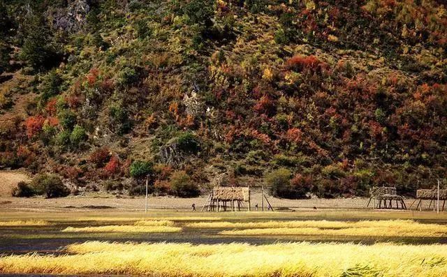 美丽|最后的秋天，最美的9个地方！错过又要苦等一年