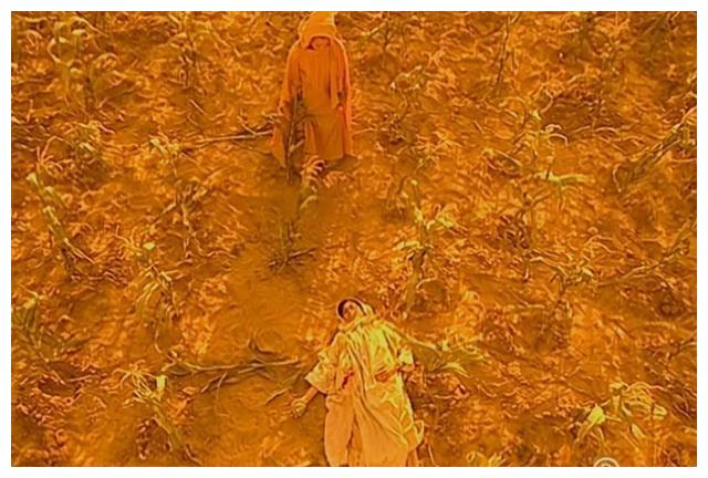 TVB|TVB最黄暴的遗珠,16年后翻红,这才是大女主天花板