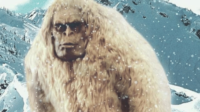 喜马拉雅山真的有雪怪吗？多次目击事件是怎么回事？竟有人被它救过