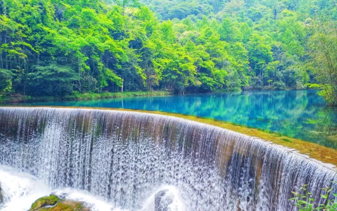 油菜花|云贵的山山水水 让你上瘾