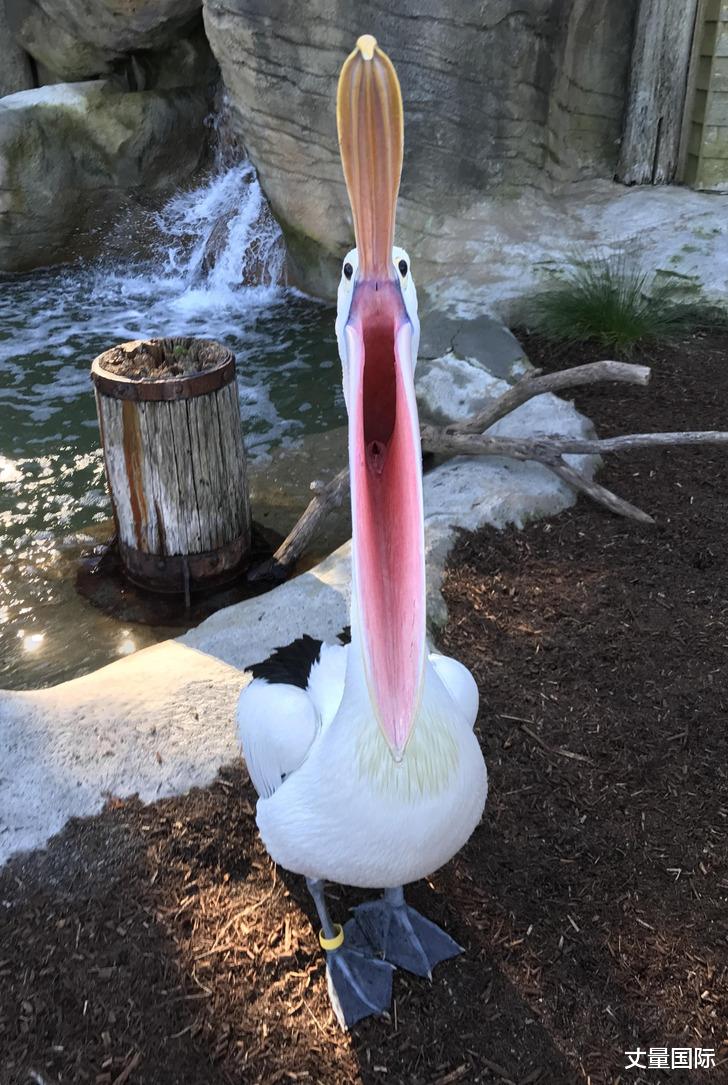 17张“在正确时间、正确地点拍摄”的照片