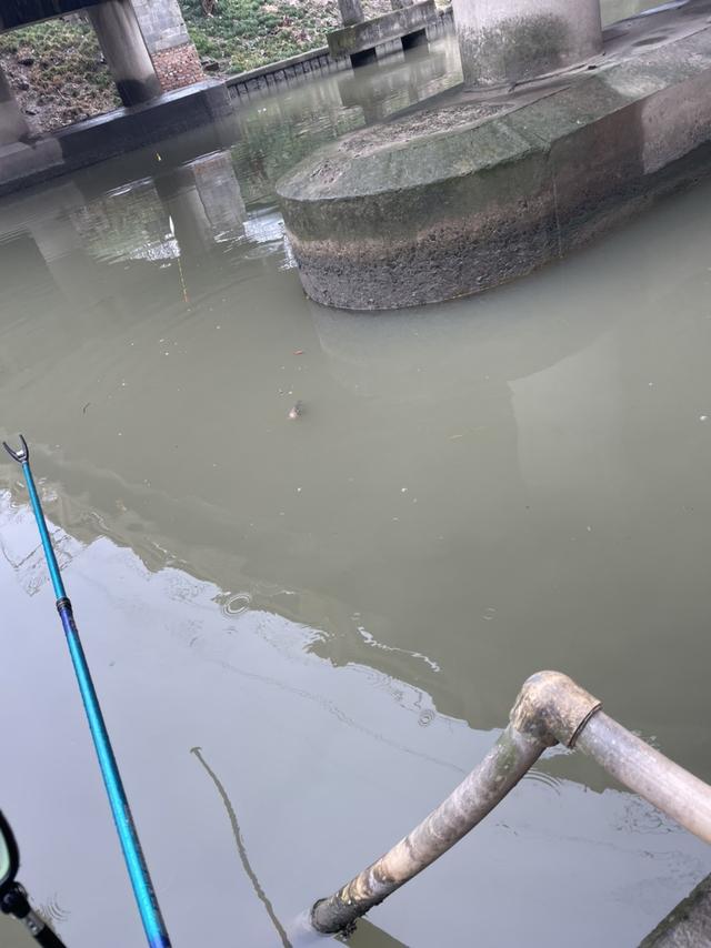 空军|通杀腥试用报告之2023年春节前后没有空军!