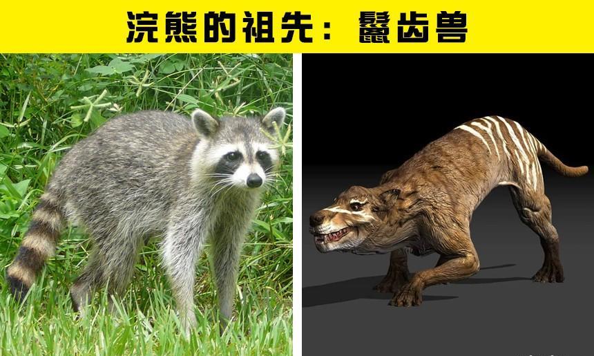 7种现代动物与史前祖先的大对比