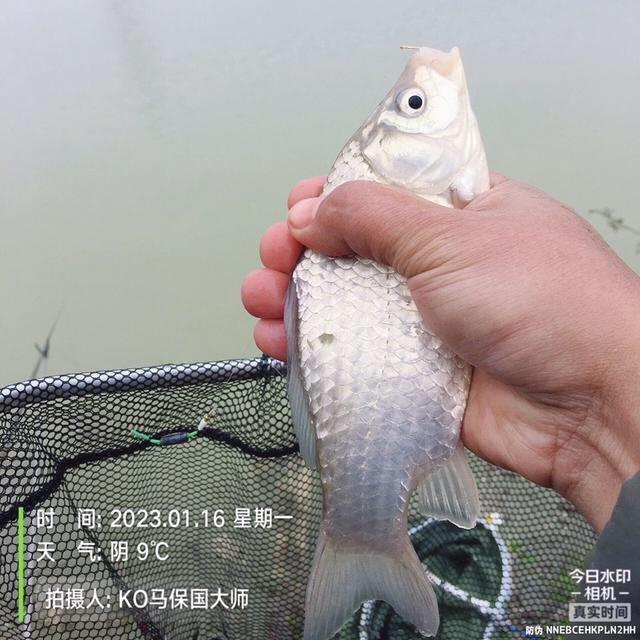 |迈着沉重的步伐，也要将钓鱼进行到底！