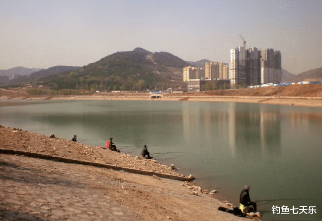 济南|景区偷钓20斤大鲤鱼,济南一男子被拘留13天!网友:钓瘾有点大