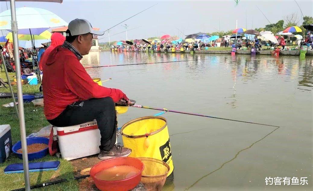 饵料|黑坑套路多，你还敢在黑坑钓鱼吗？