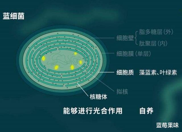 3名航天员每天要1650升氧气,执行180天任务,用的氧气从何而来?