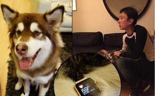 王一博|美女保姆作陪，熬走了王思聪多任女友，这个女人何德何能？