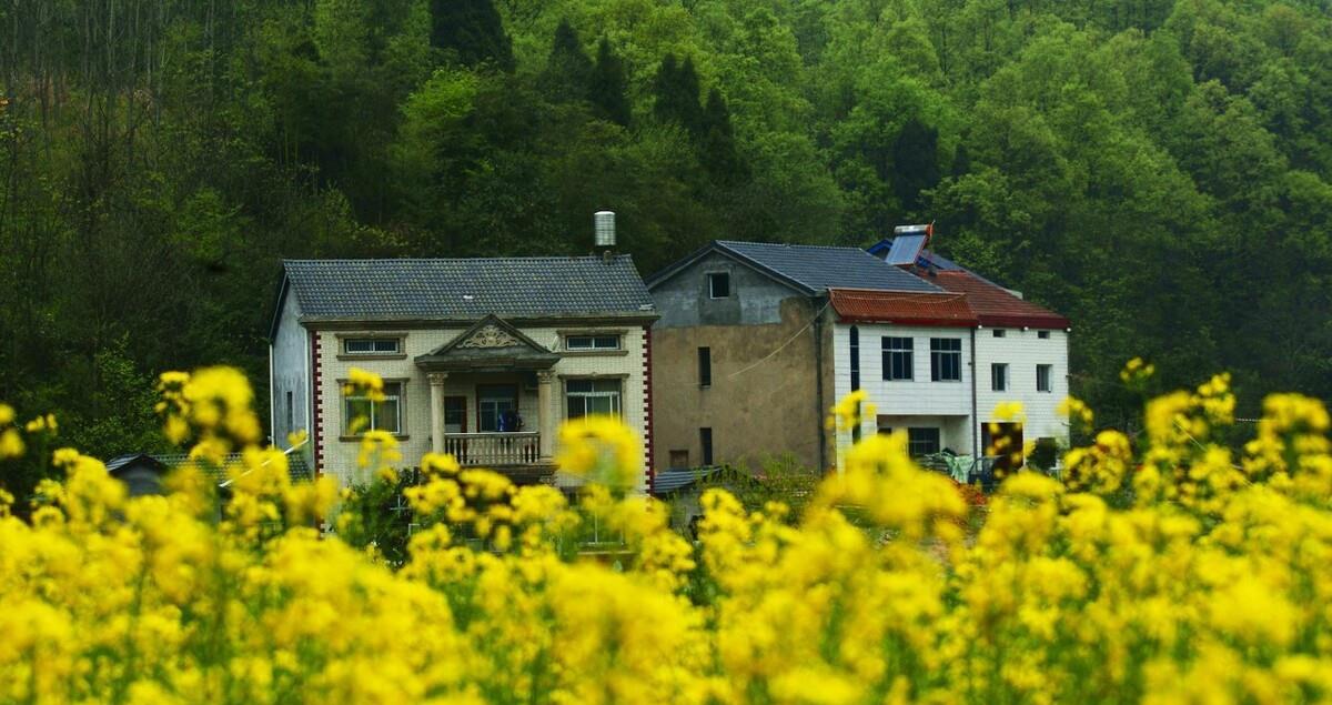 宅基地|签了租房协议后城里人在我家宅基地盖房住了，现在想赶他走，咋办