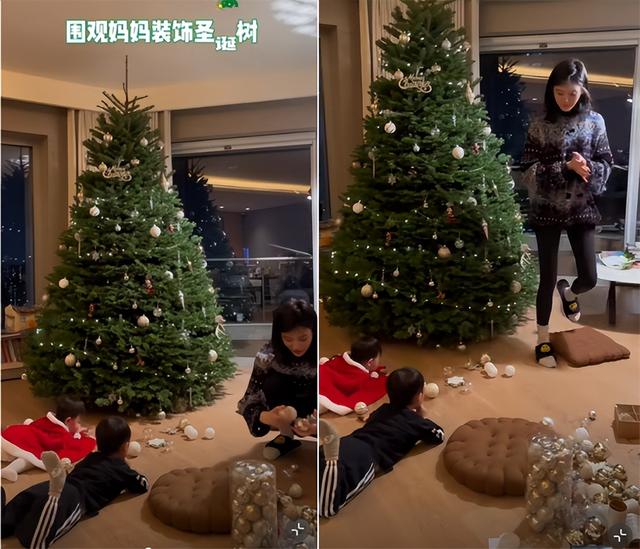 奚梦瑶|奚梦瑶与儿女装扮圣诞树,哥哥帮忙妹妹围观,何猷君记录好有爱