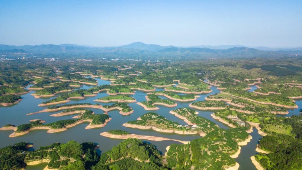 北海|对于文旅行业来说,网红到底是\仙丹\还是\毒药\?