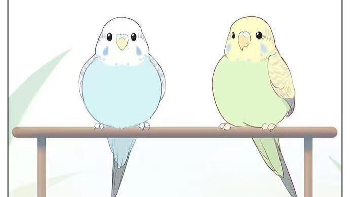 鹦鹉|「短篇漫画」小鸟依人