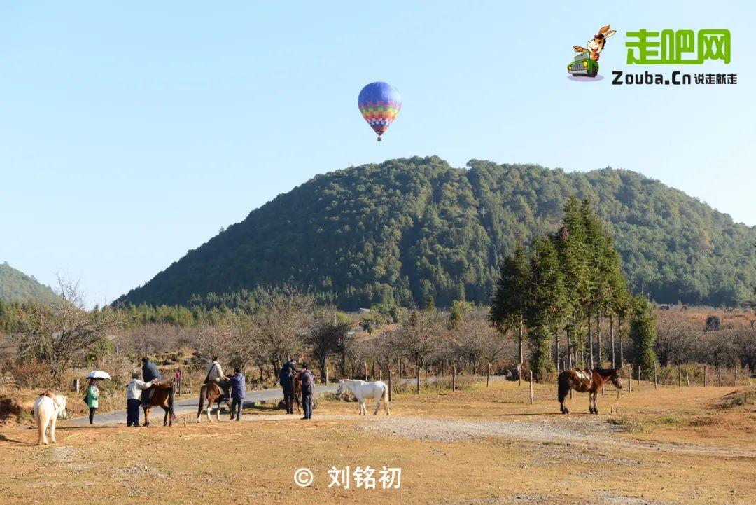 腾冲|年度最佳22℃暖冬小城！全国唯一半城银杏，半城温泉！现在来刚好