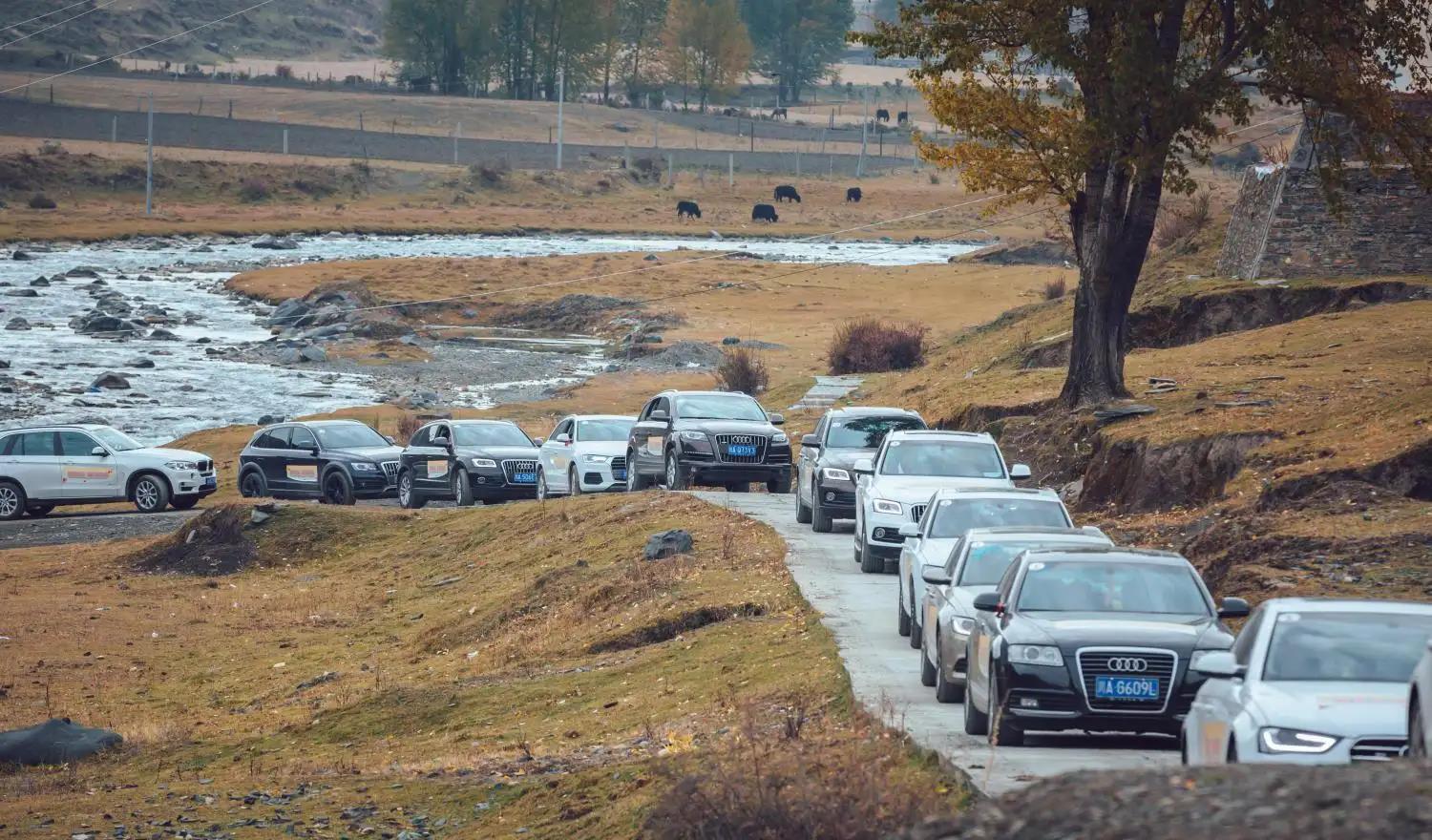 |现在外出旅游，为何选择自驾游的人越来越少？老司机：傻子才开车