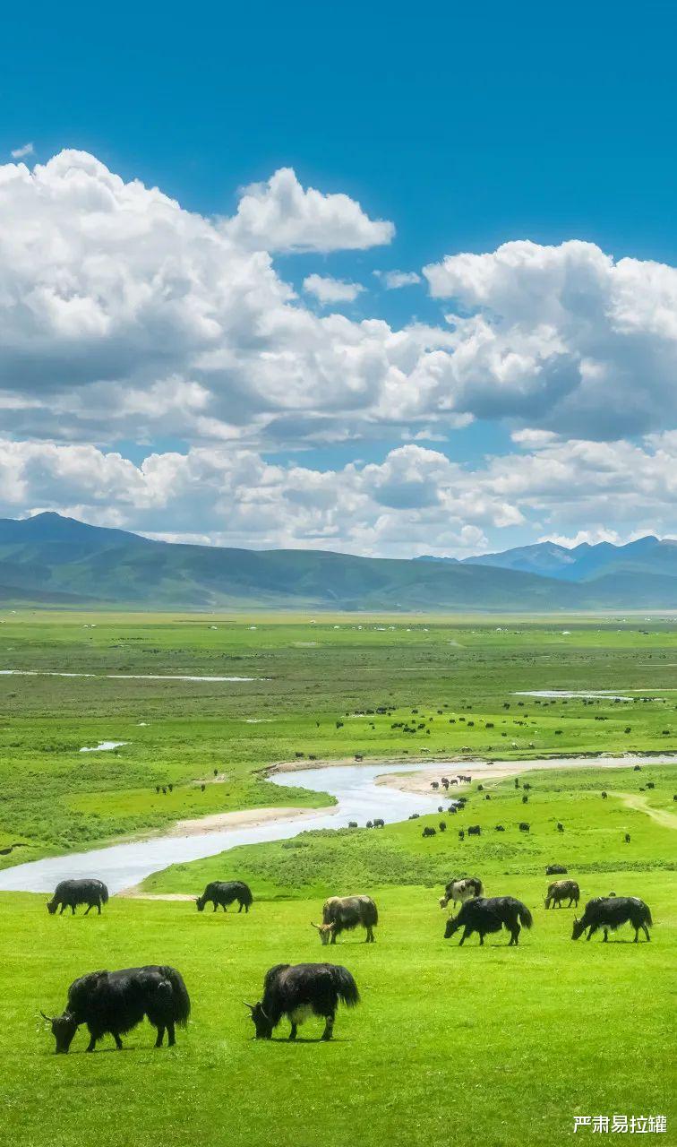 仓央嘉措|爆红2年后,丁真私密日程表曝光:原来这才是你的真面目!