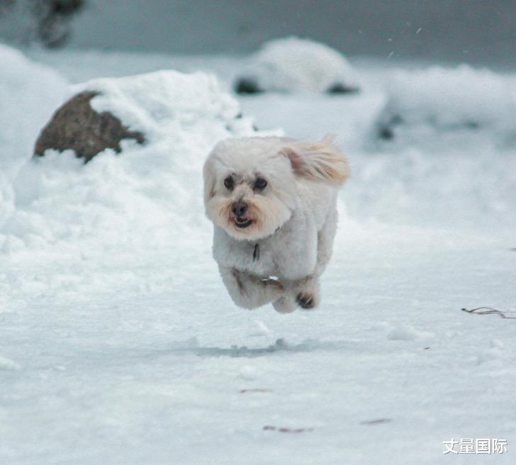 17张“在正确时间、正确地点拍摄”的照片