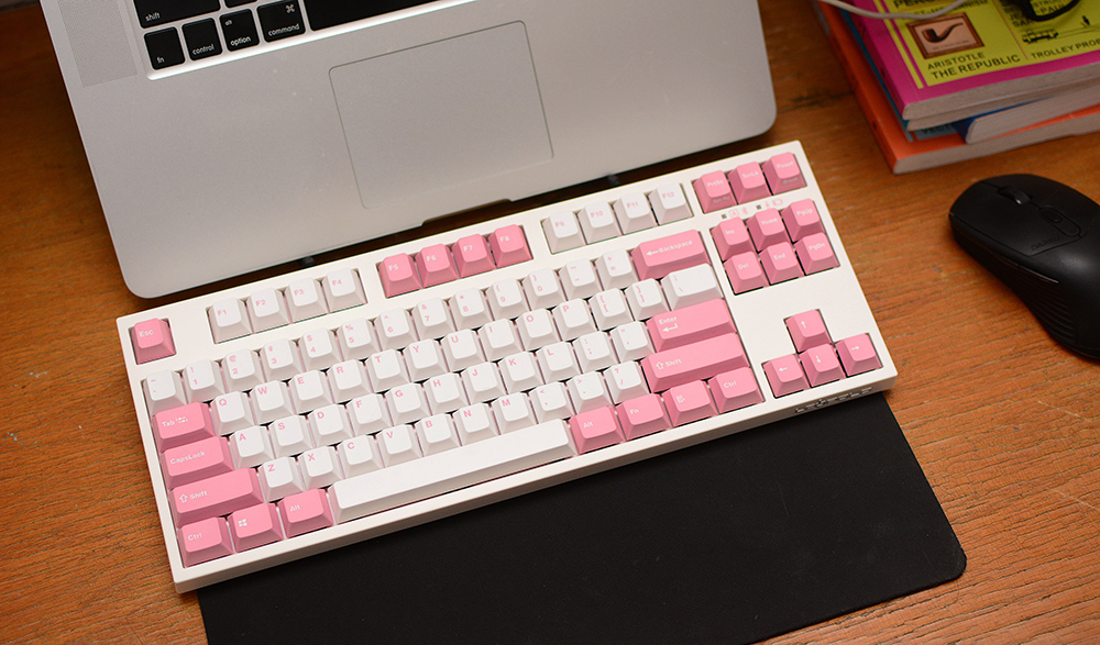 rita|幸有粉红佳人相伴,Rita陪我居家办公的第四天