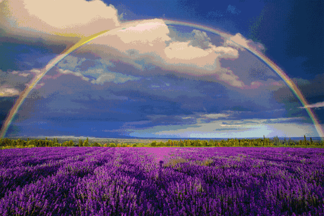 广东省|没有来过这5个地方，就不算到过伊犁