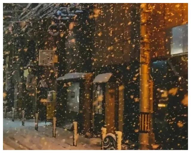 董宇辉|董宇辉背后的三个女人